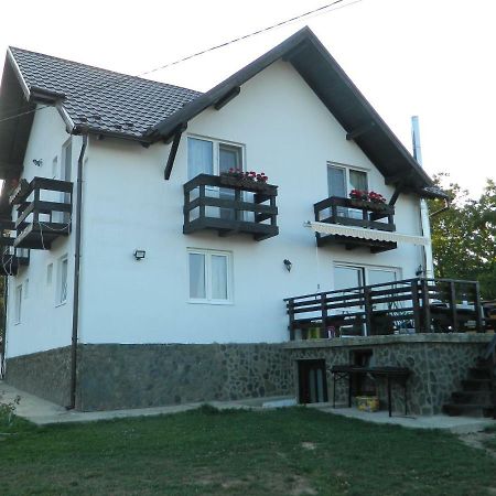 Elder Villa Bran  Exterior foto